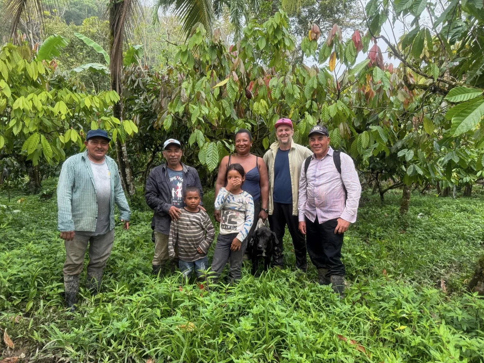 Competitive pricing - Family-run chocolate business