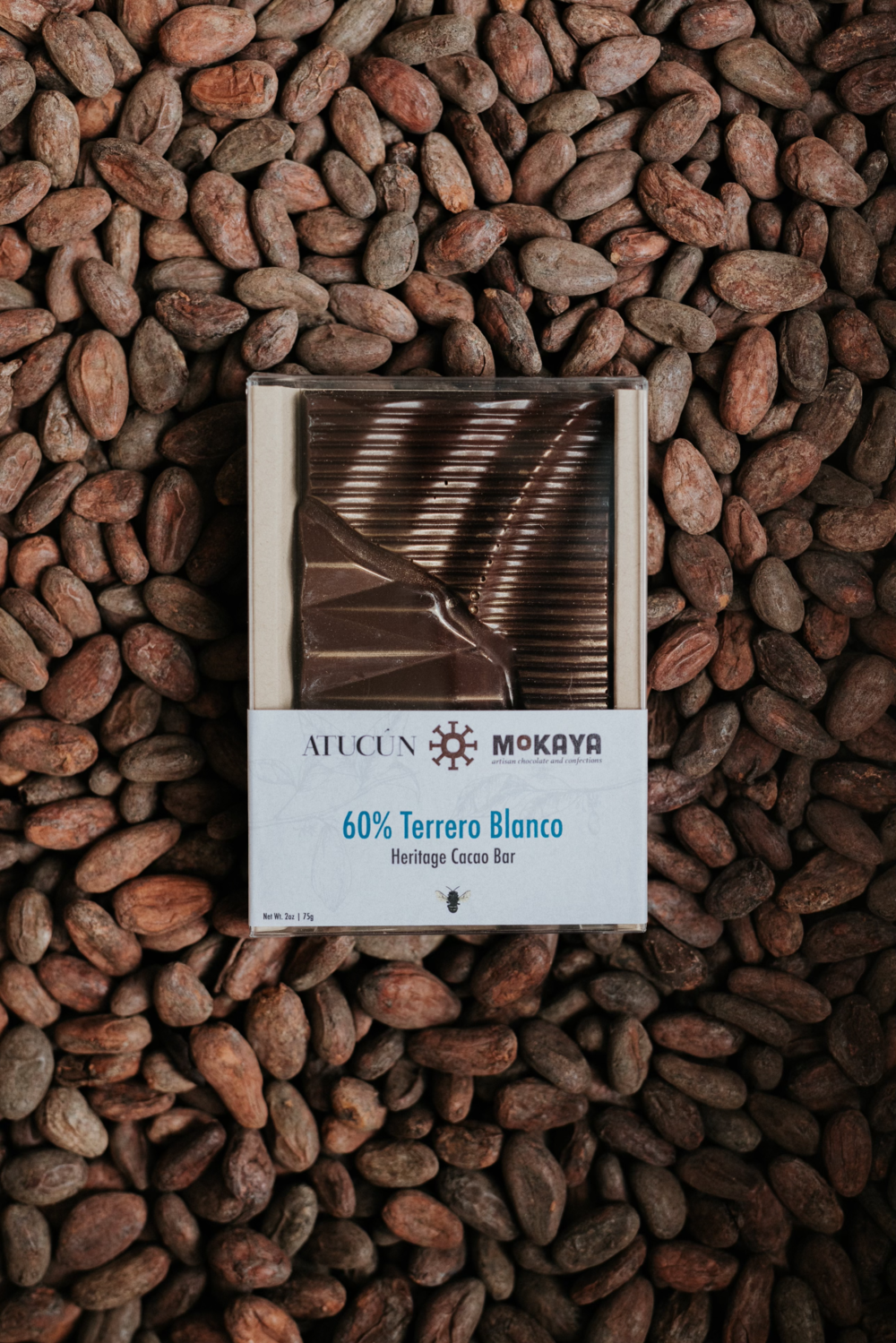 Rare Chocolate Comes to Grand Rapids