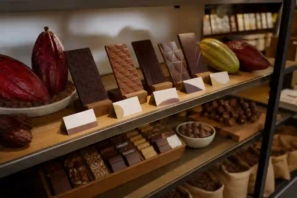 A specialty retail shelf with Atucún chocolate bars, mordiscos, cacao pods, and tasting cards